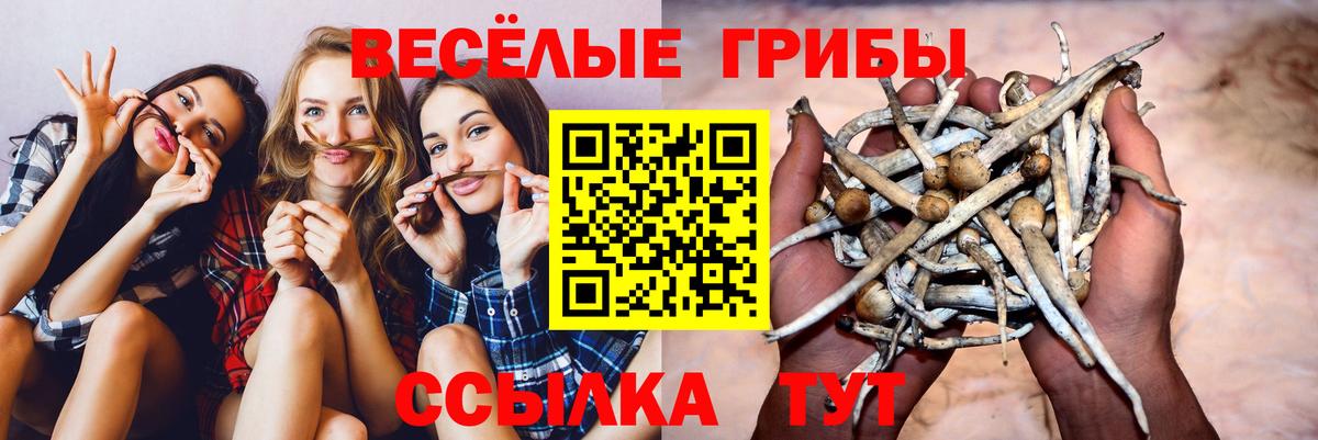 Дзержинск  Псилоцибиновые грибы Magic Shrooms  Вход с VPN  Галлюциногенные грибы мицелий 