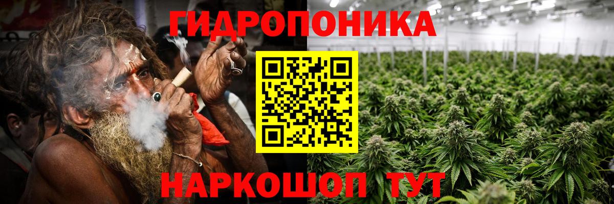Канабис индика  Конопля ГИДРОПОН  Дзержинск  Вход с VPN 